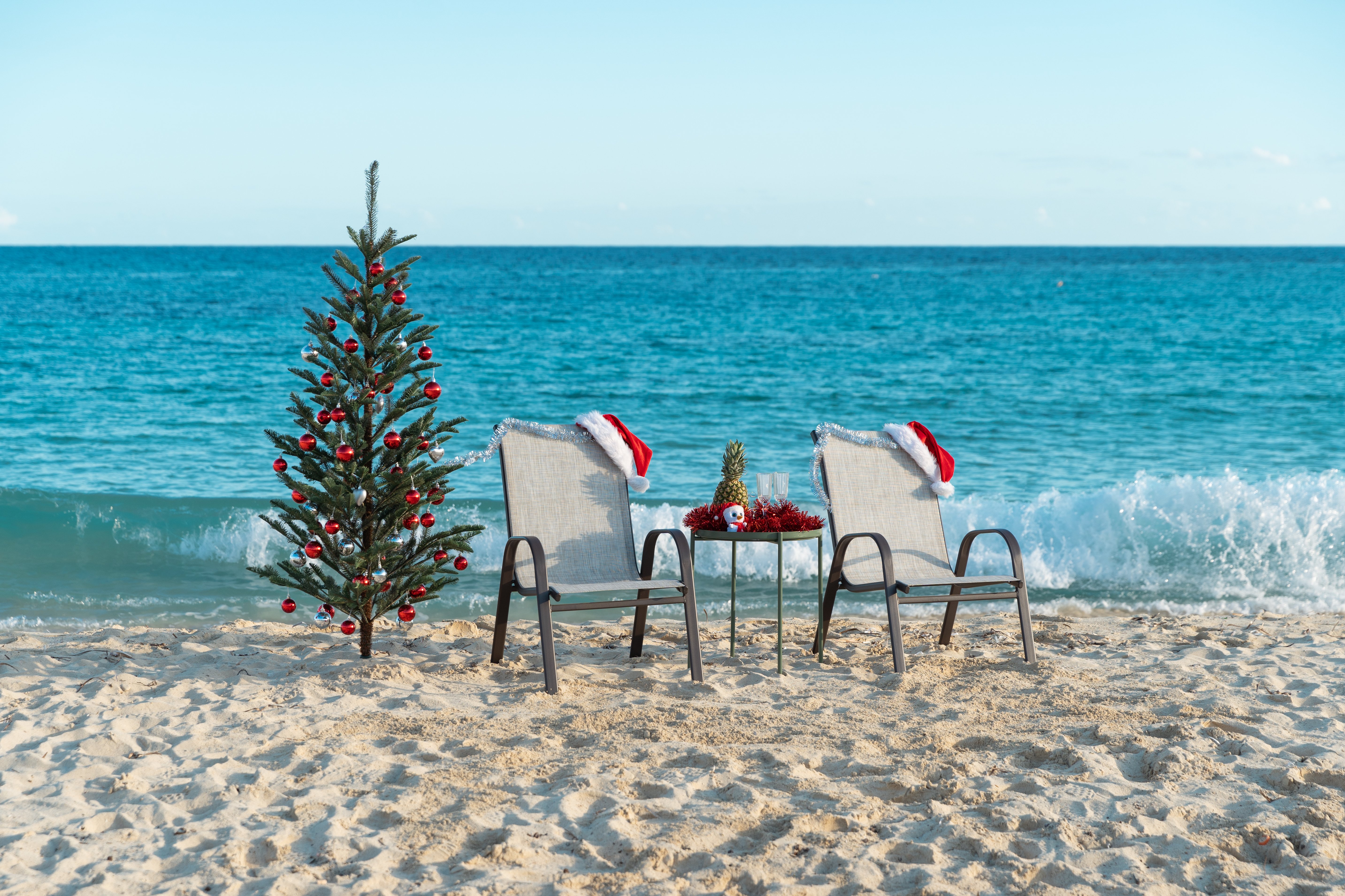 shutterstock_1872919762